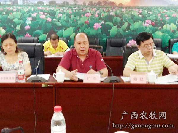 柳州会场 。中为柳州市委常委、统战部部长向军，右为市委副秘书长鲍建。